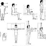 Anthropometry