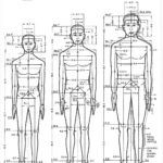 Anthropometry