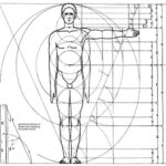 Anthropometry