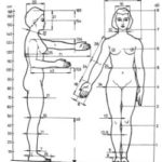 Anthropometry