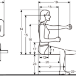 Anthropometry