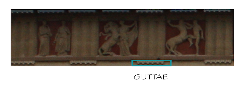 Guttae